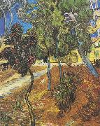 Vincent Van Gogh Trees in the garden of the Hospital Saint-Paul Germany oil painting artist